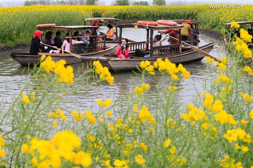 Paisagem florida em Jiangsu atrai turistas