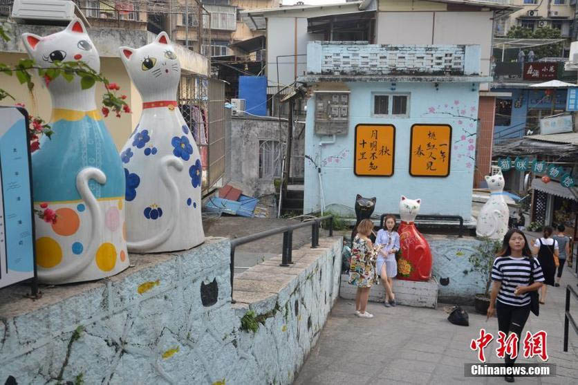 Rua com grafites de gatos atrai turistas até Xiamen