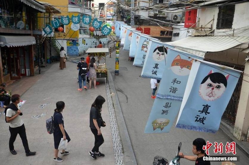Rua com grafites de gatos atrai turistas até Xiamen