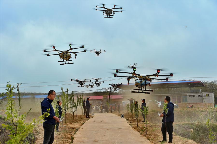 Drones utilizados para pulverizar pesticida no norte da China