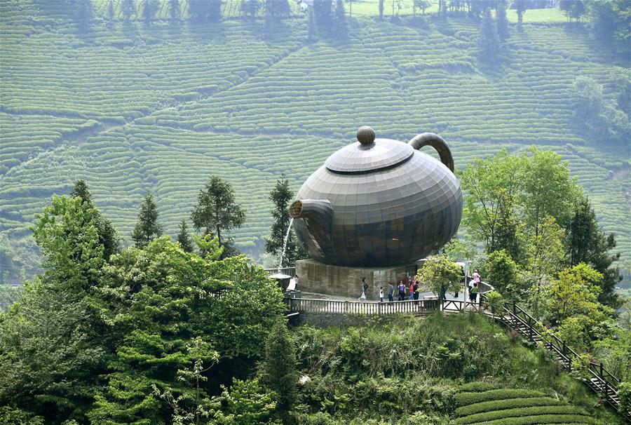 Jardim de chá em Hubei recebe turistas durante o feriado do Dia do Trabalho
