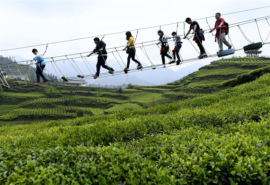 Jardim de chá em Hubei recebe turistas durante o feriado do Dia do Trabalho