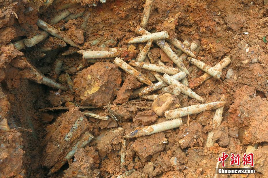 Mil balas de espingarda encontradas em campo de cultivo em Hubei