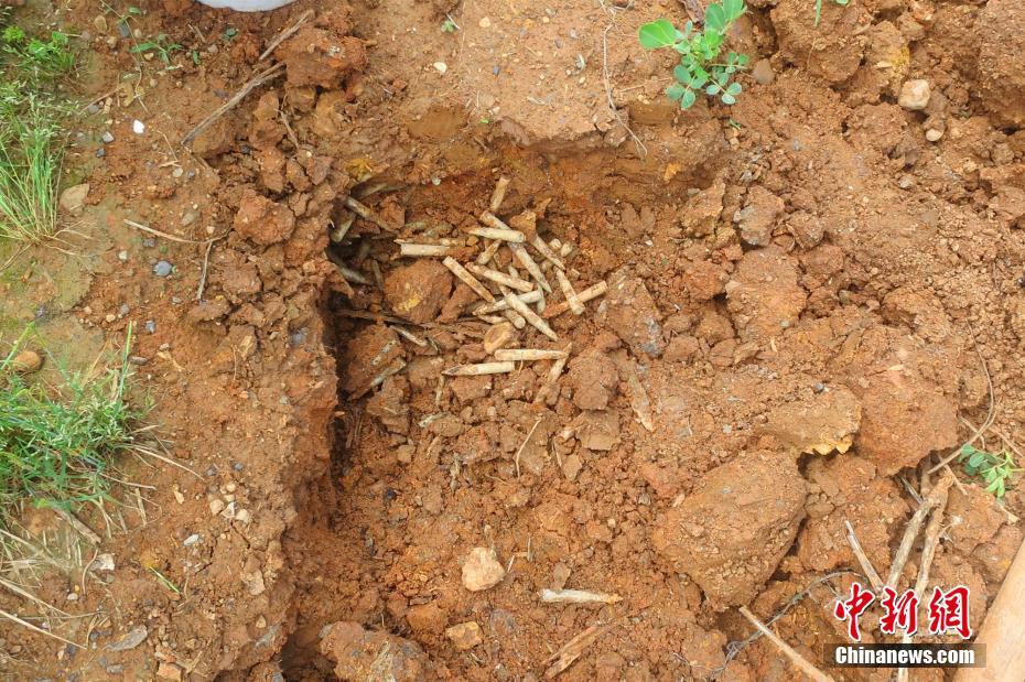 Mil balas de espingarda encontradas em campo de cultivo em Hubei