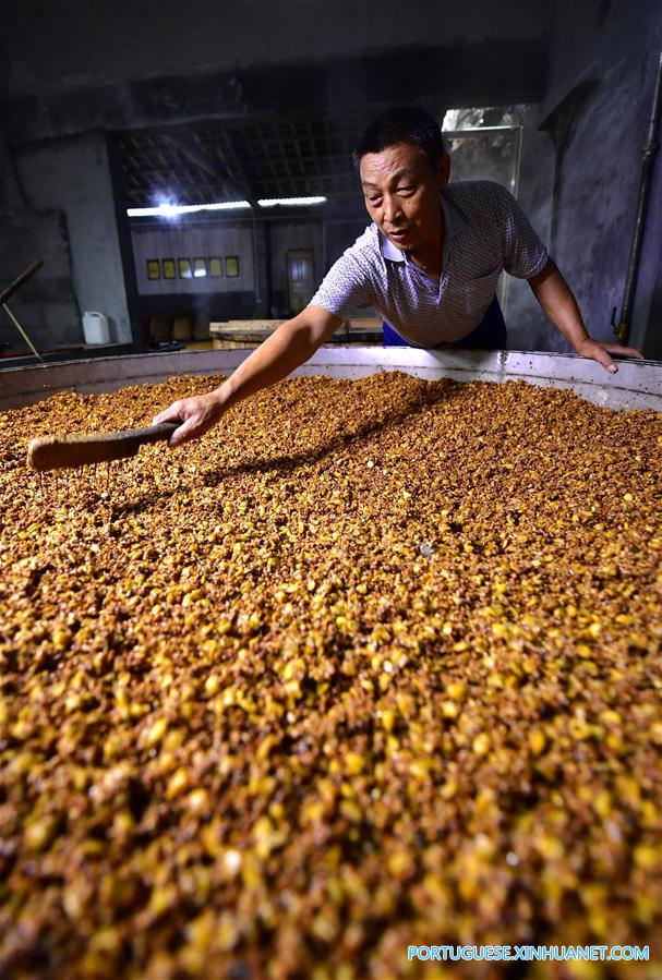 Povo da etnia Tujia produz licor de sorgo no centro da China