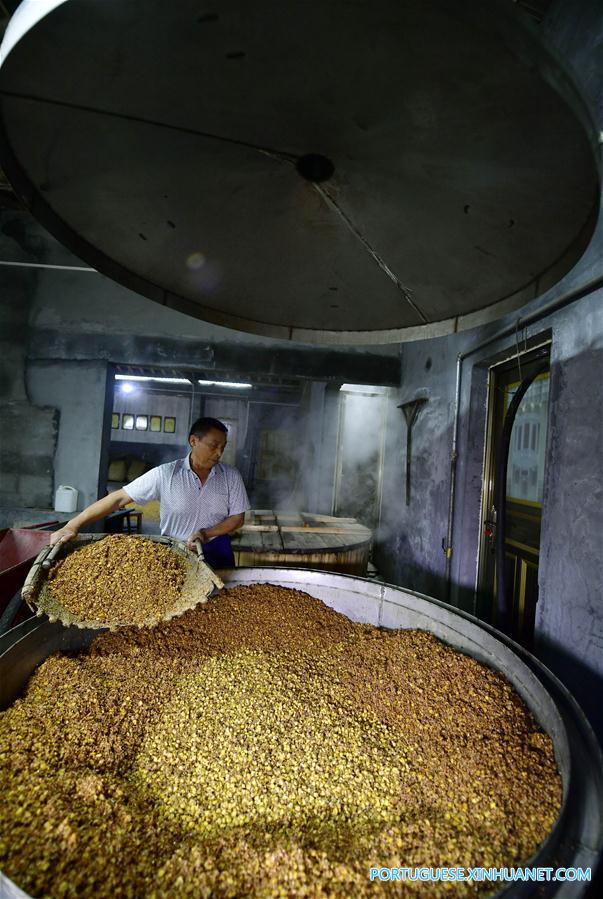 Povo da etnia Tujia produz licor de sorgo no centro da China