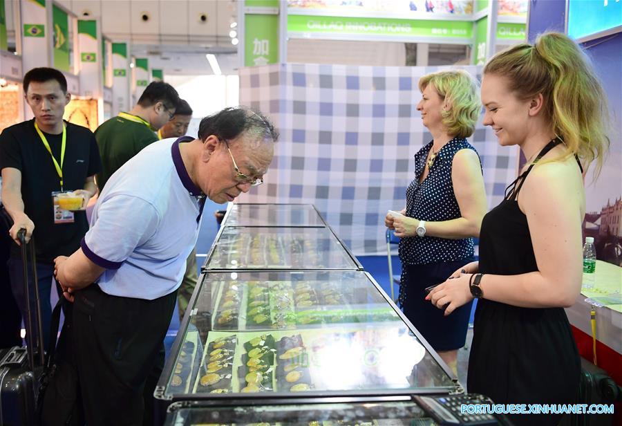 Exposição Internacional da Rota da Seda 2017 é realizada no Shaanxi no noroeste da China