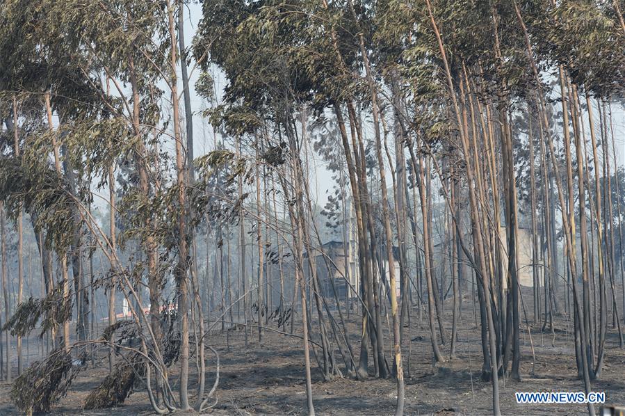 Incêndio florestal em Portugal: 61 mortos e 62 feridos confirmados