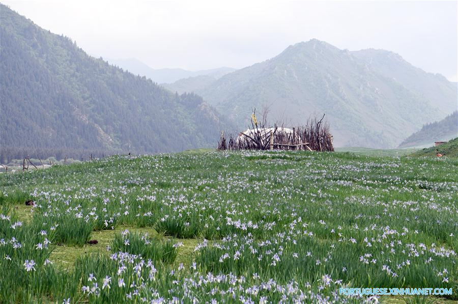 Cenário de verão das montanhas Qilian no noroeste da China