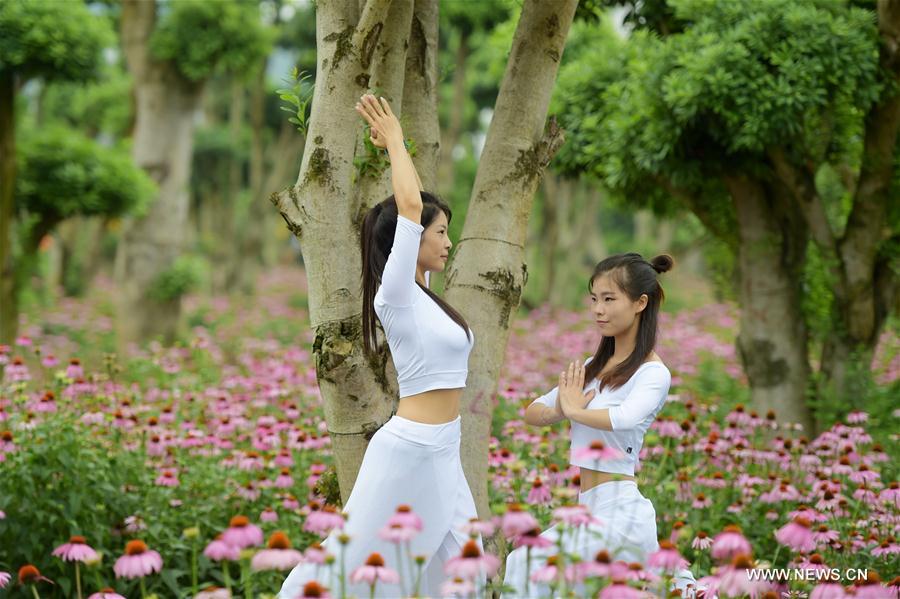 Praticantes e fãs celebram Dia Internacional do Ioga por toda a China