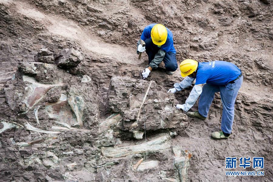 Fósseis de dinossauro descobertos em Chongqing são de “importância mundial”, dizem paleontologistas chineses