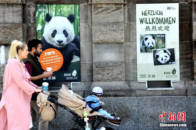 Jardim Zoológico de Berlim realiza cerimônia de inauguração do Jardim do Panda