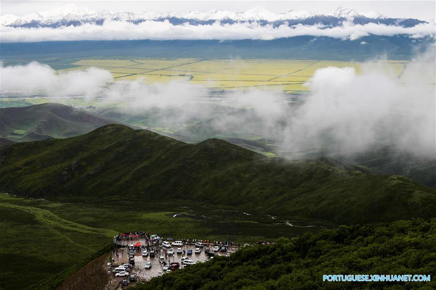 Turistas apreciam flores de canola em Qinghai
