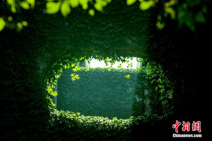 Ponte verde: um cenário idílico no meio da azáfama de Chengdu