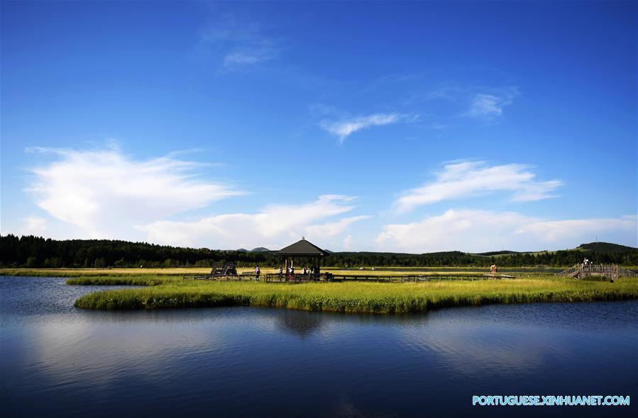 Turistas aproveitam paisagem do Parque Florestal Nacional de Saihanba, no norte da China