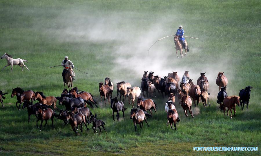 Esforços para proteger cultura de criação de cavalos na Mongólia Interior