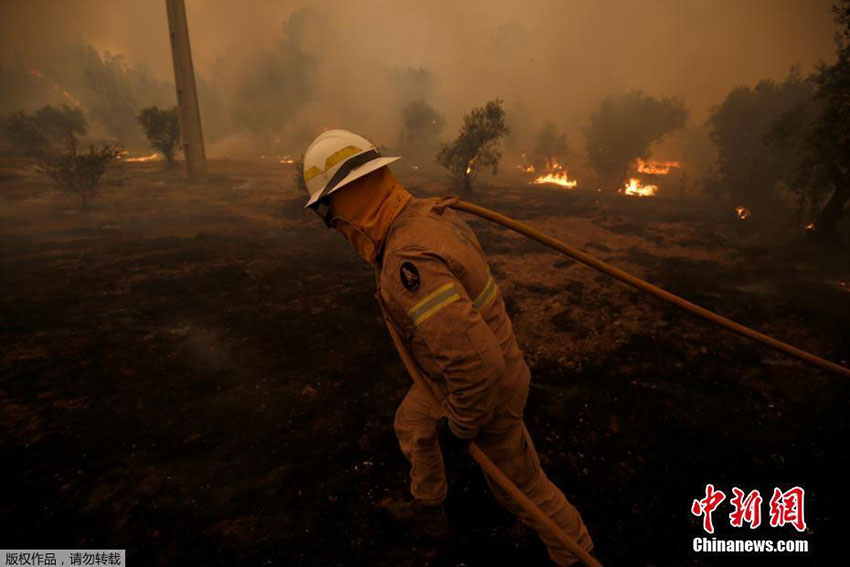 Norte e centro de Portugal novamente assolados pelas chamas