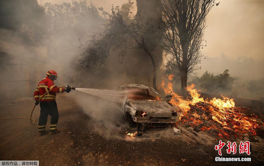 Norte e centro de Portugal novamente assolados pelas chamas