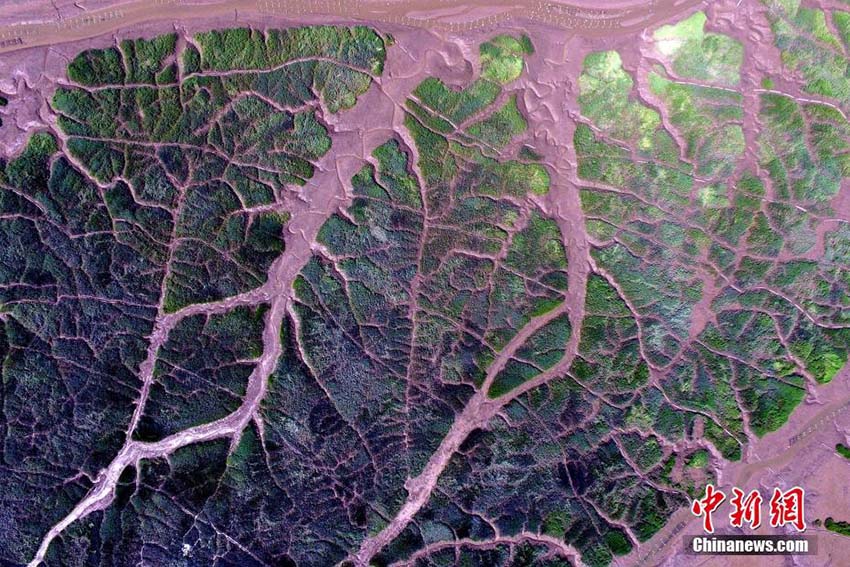 Galeria: Paisagem aérea do lodaçal de Xiapu, na província de Fujian