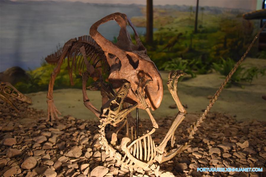 Em imagens: Parque Geológico Nacional de Dinossauros no nordeste da China
