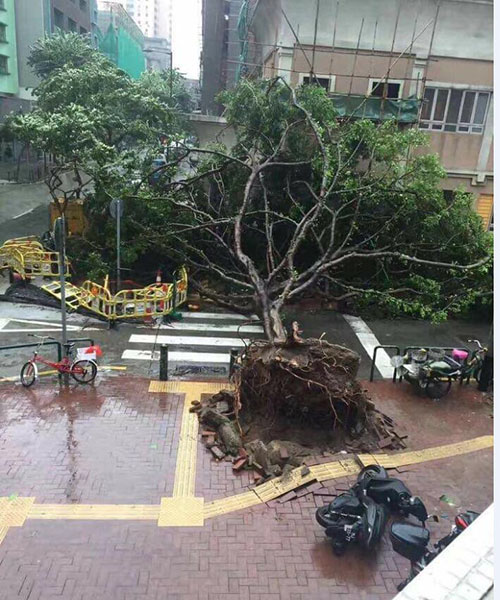 Macau decreta alerta máximo face à chegada do tufão Hato