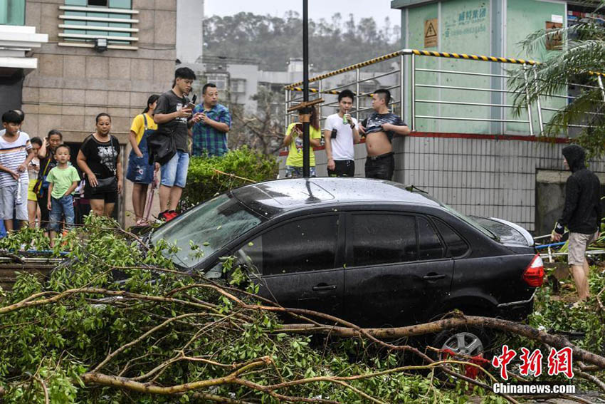 Tufão mais forte do ano provoca mortos e feridos no sul da China