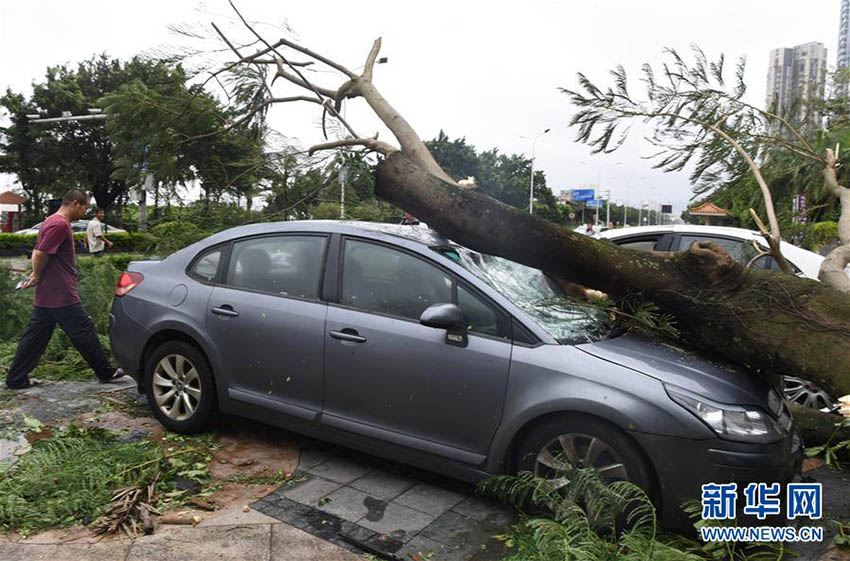 Região no sul da China inicia recuperação do tufão Hato, mas um novo pode estar a caminho