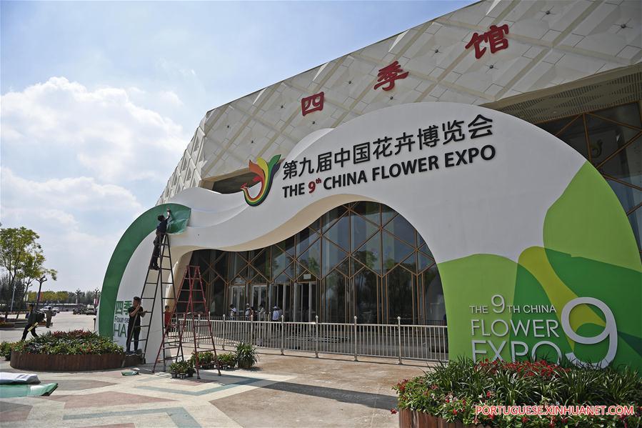 9ª Expo Flower da China em Yinchuan