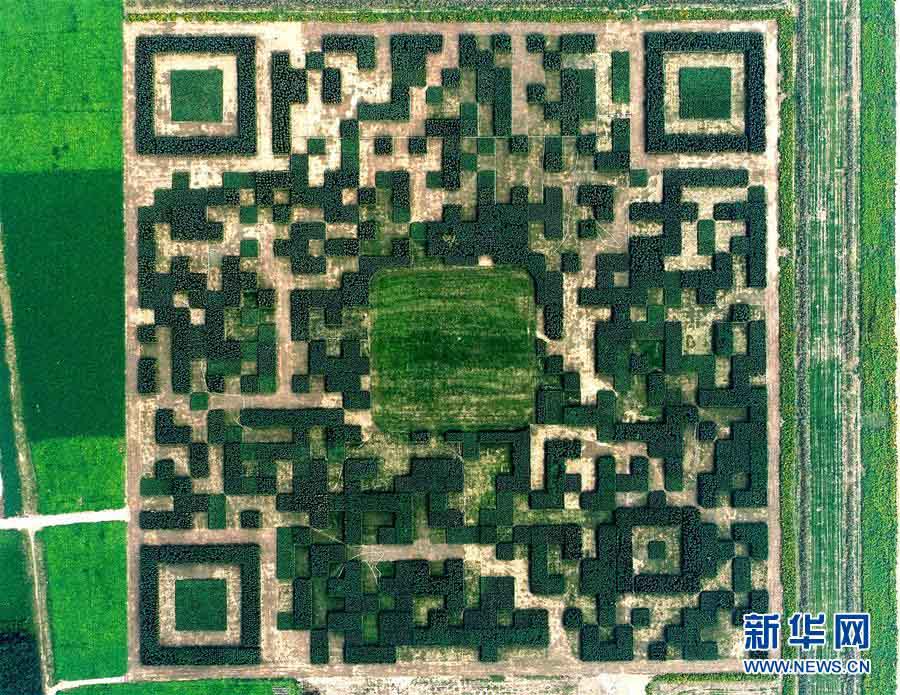 Código QR gigante avistado na província de Hebei