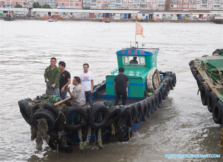 Tufão Talim traz ondas gigantes à província de Zhejiang