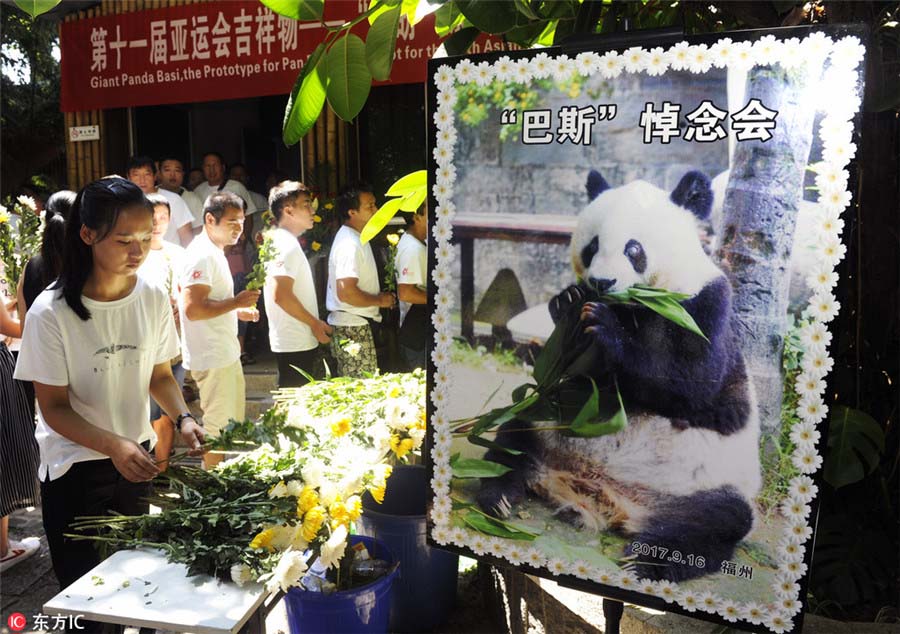 Visitantes prestam homenagem ao panda mais velho do mundo