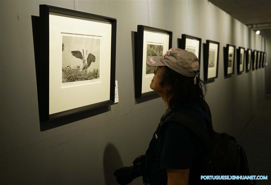 Destaques do 17º Festival Internacional de Fotografia de Pingyao