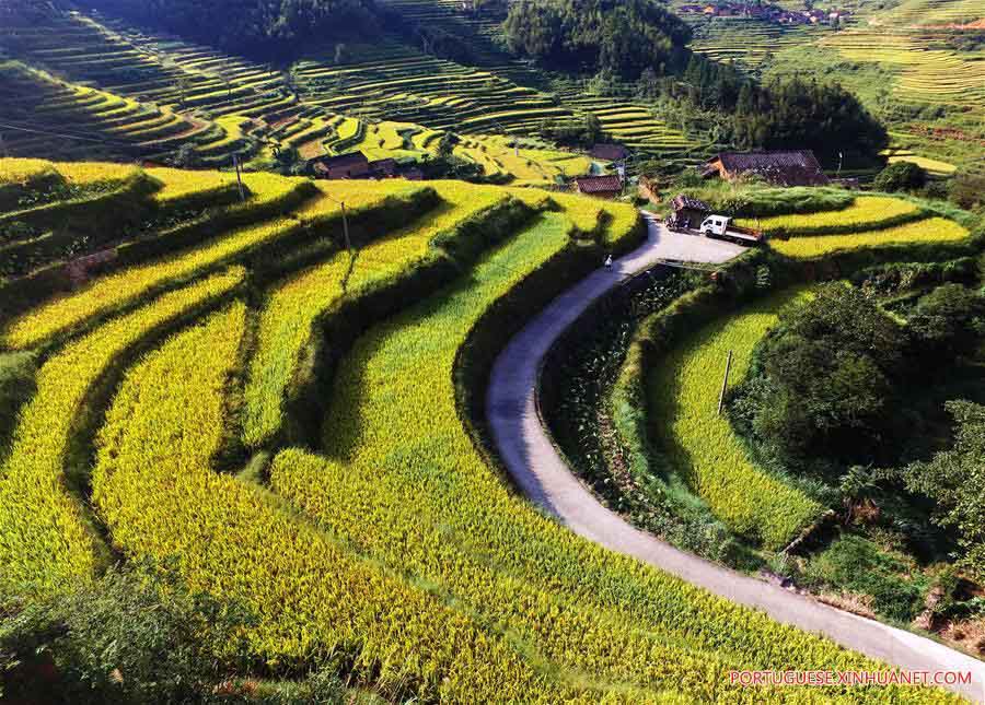 Paisagem de terraços em Fujian, no sudeste da China