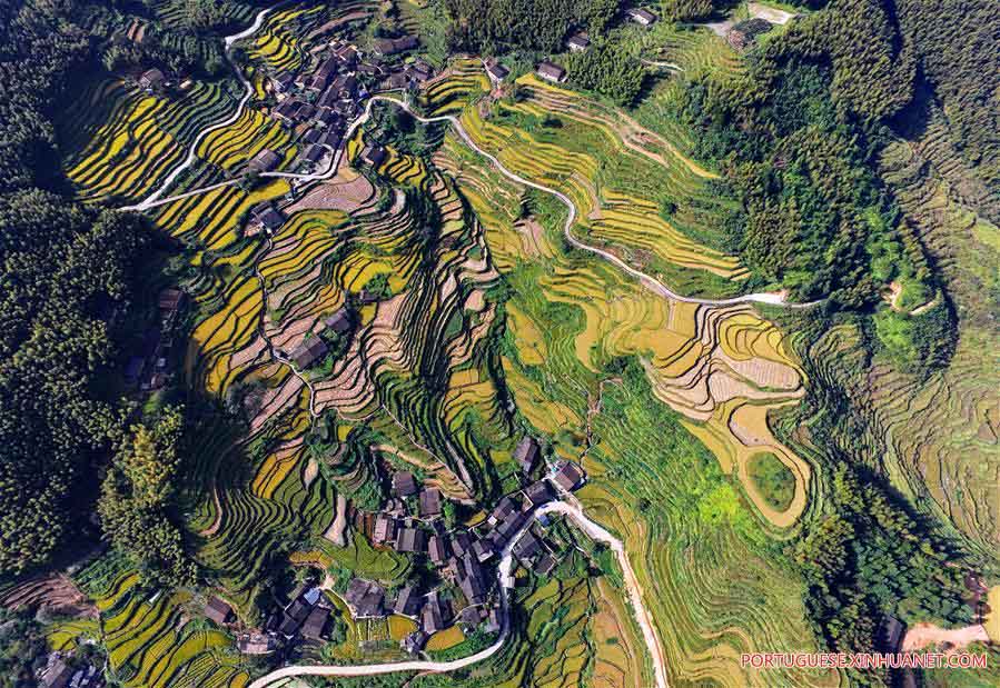 Paisagem de terraços em Fujian, no sudeste da China