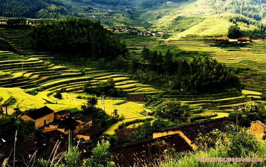 Paisagem de terraços em Fujian, no sudeste da China