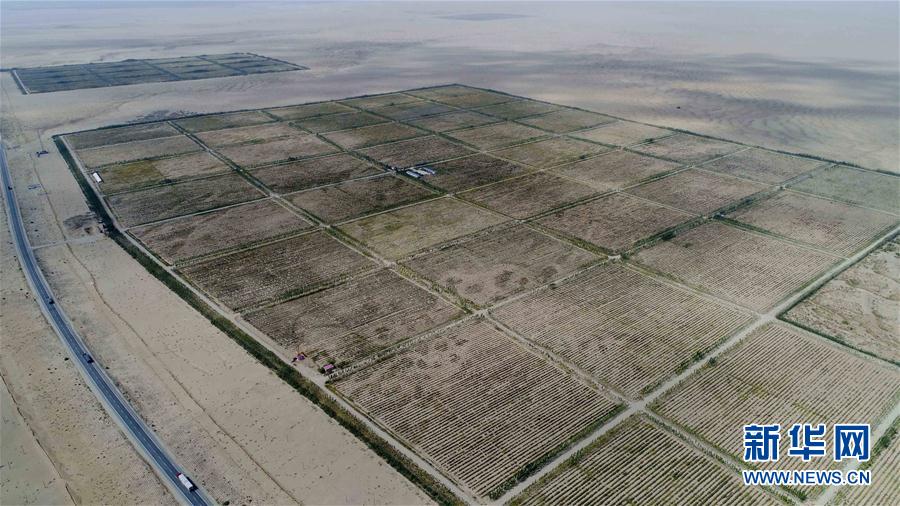 Desertificação na Bacia de Tarim controlada com sucesso