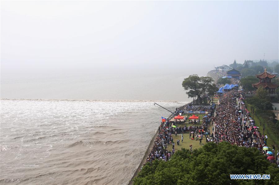 Macaréu do rio Qiantang atinge ponto máximo