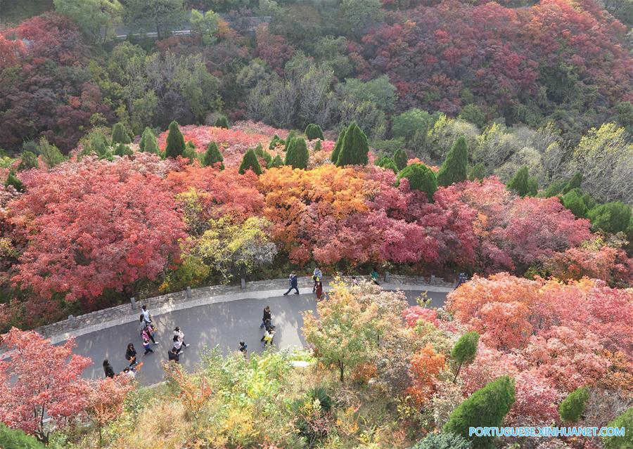 Turistas visitam paisagem de outono em Jinan