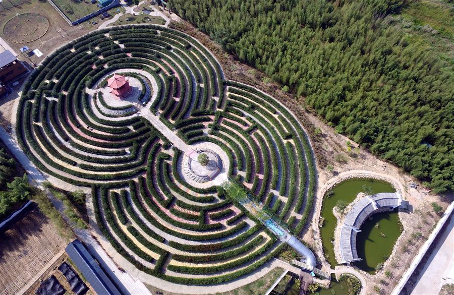 Projetos de lazer construídos para promover agricultura ecológica em Fujian