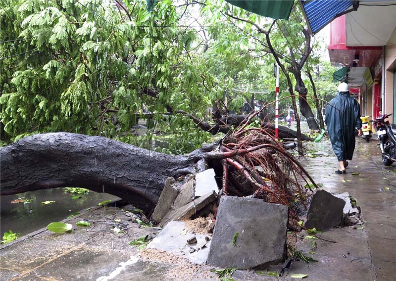 Tufão Damrey deixa 29 mortos e 29 desaparecidos no centro do Vietnã