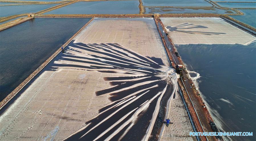 Produção de sal marinho da cidade chinesa de Huanghua deverá atingir 550.000 toneladas
