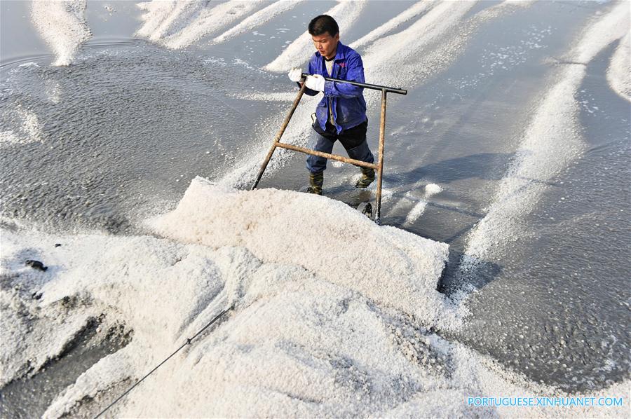 Produção de sal marinho da cidade chinesa de Huanghua deverá atingir 550.000 toneladas