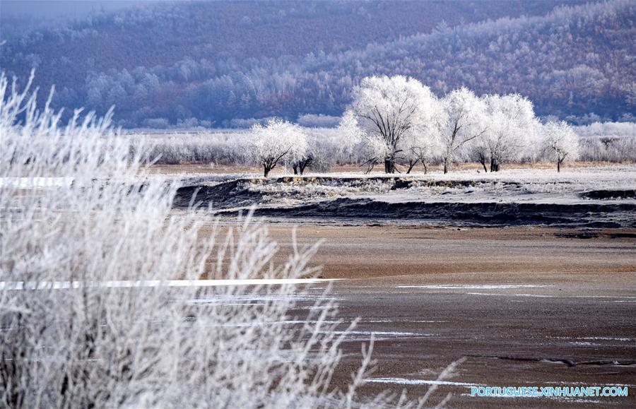 Paisagem de sincelo em Heilongjiang, no nordeste da China