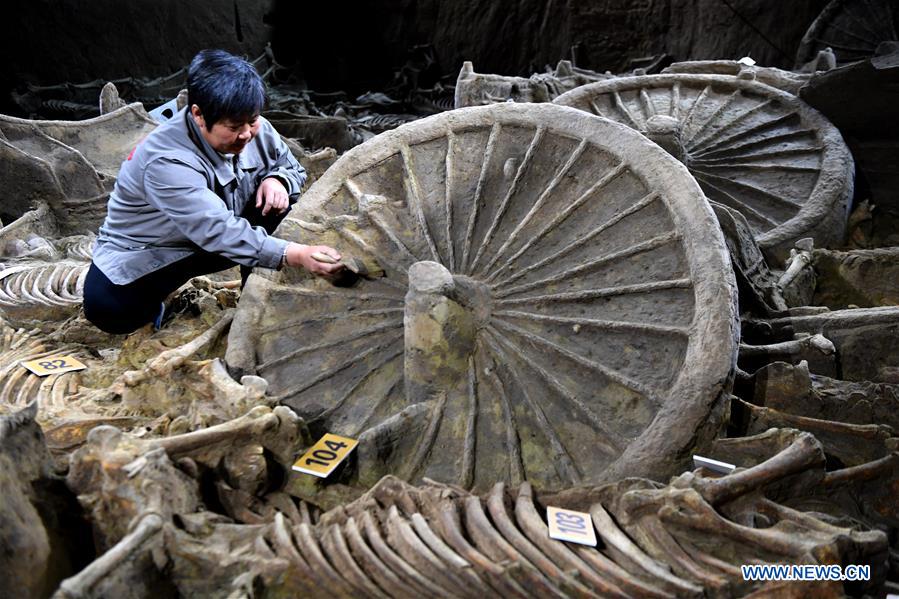 China: Arqueólogos descobrem cavalos e carruagens com 2.400 anos