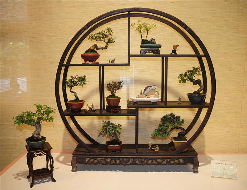 Bonsai ao estilo de Zhejiang exibidos em Hangzhou