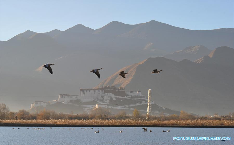 Em imagens: Pântano Lalu em Lhasa