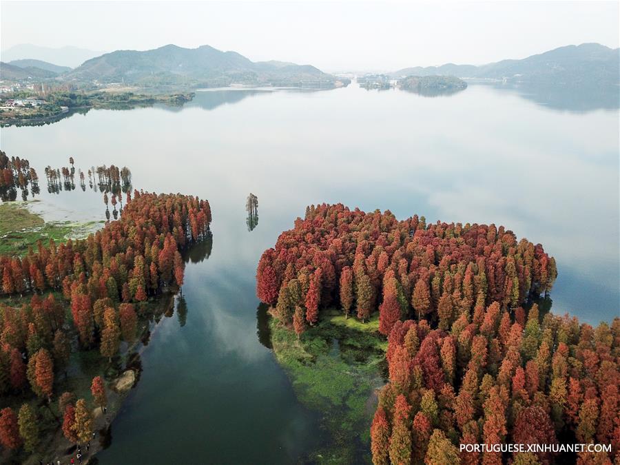 Paisagem do lago Siming em Zhejiang