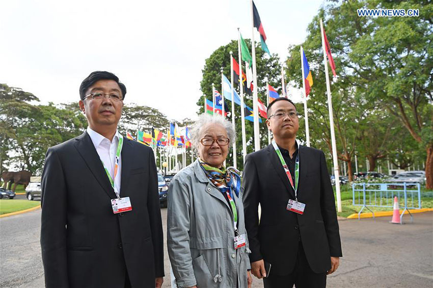 Comunidade de reflorestamento chinesa galardoada com prêmio ambiental da ONU