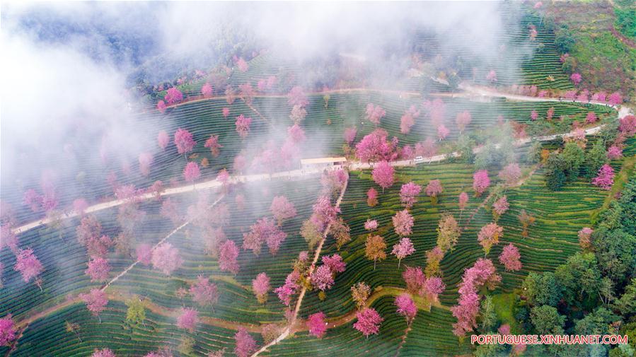 Paisagem do vale da cereja em Yunnan