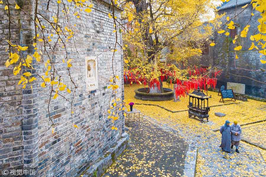 Folhas de ginkgo cobrem templo antigo em tons de dourado